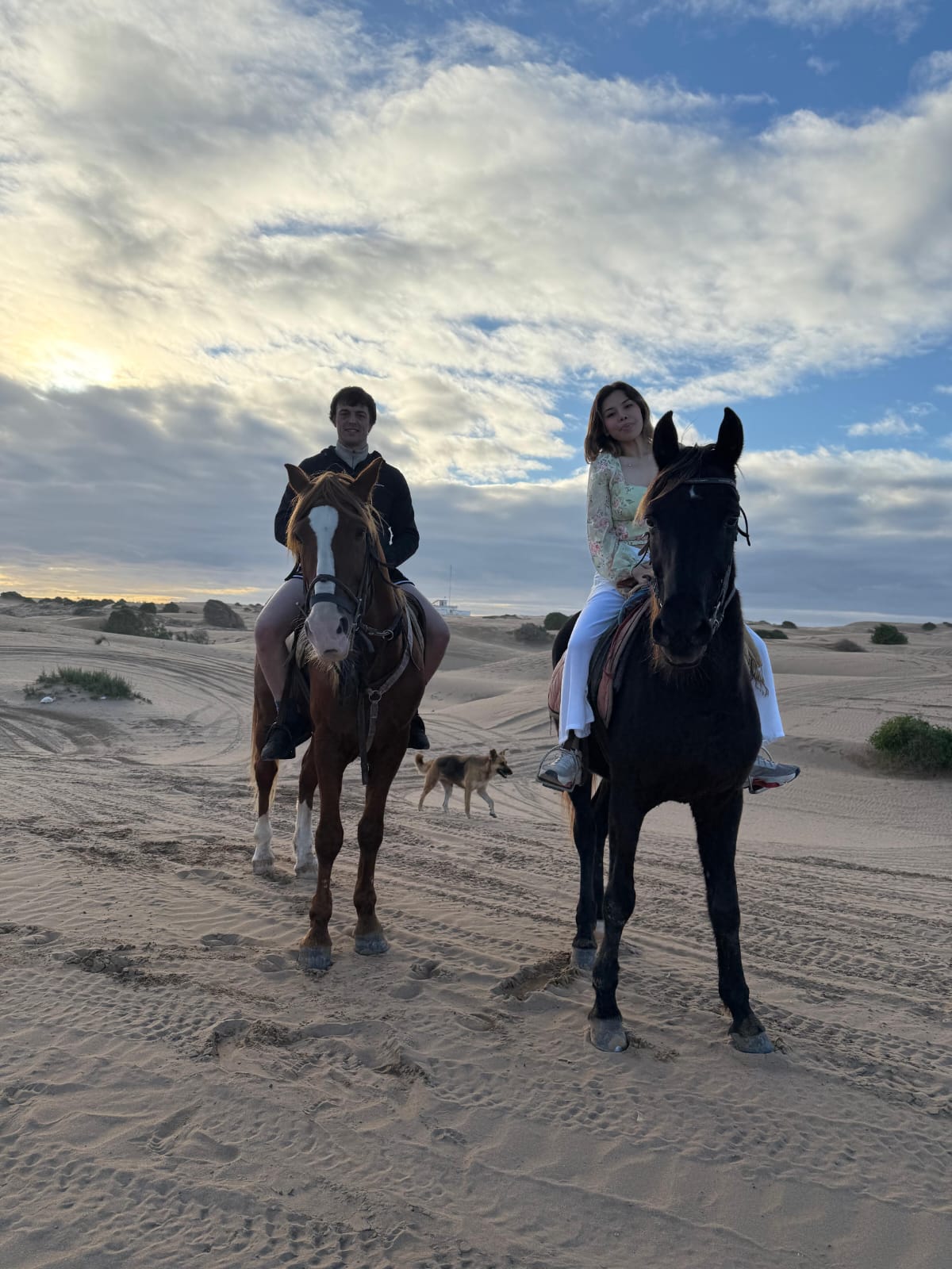 WhatsApp Image 2026-02-07 at 13.12.09